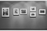 Selections from the Permanent Collection: Photography. May 17, 1984. 2 other works identified