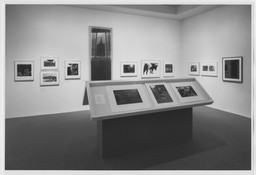 Selections from the Permanent Collection: Photography. May 17, 1984. 