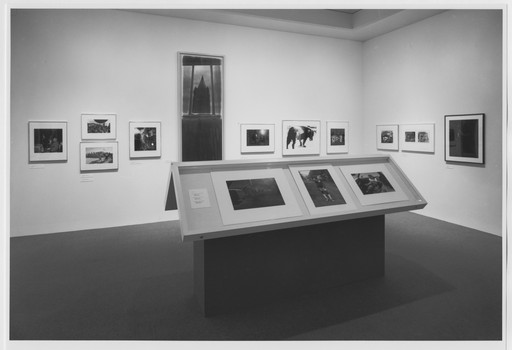 Daidō Moriyama (森山 大道). Stray Dog, Misawa. 1971 | MoMA