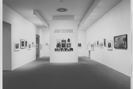 The Museum of Modern Art Archives, New York