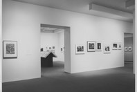 Color Photographs: Recent Acquisitions. Aug 18–Nov 6, 1984.