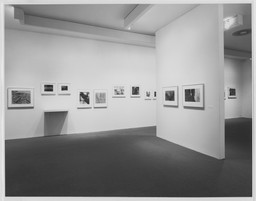 Installation photo, 4 of 6