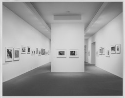 Installation photo, 6 of 6