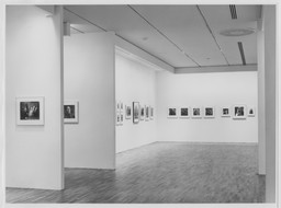 Installation photo, 26 of 27
