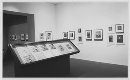 Installation photo, 5 of 9