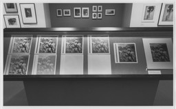 Installation photo, 6 of 9