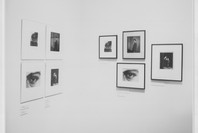 From the Gilman Collection: Photographs Preserved in Ink. Nov 15, 1984–Mar 3, 1985.