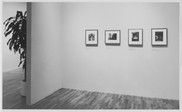 Installation photo, 14 of 19