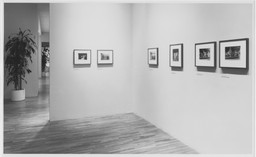 Installation photo, 19 of 19