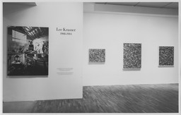 Installation photo, 2 of 17