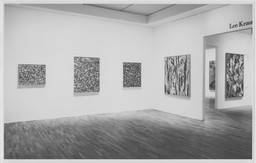 Installation photo, 3 of 17