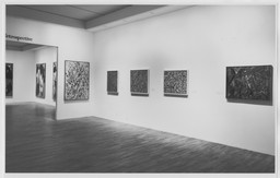Installation photo, 4 of 17