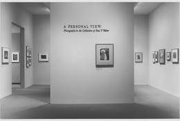 The Museum of Modern Art Archives, New York