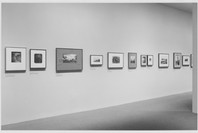 A Personal View: Photography in the Collection of Paul F. Walter. May 23–Aug 13, 1985.