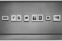 A Personal View: Photography in the Collection of Paul F. Walter. May 23–Aug 13, 1985. 3 other works identified