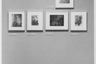 A Personal View: Photography in the Collection of Paul F. Walter. May 23–Aug 13, 1985. 2 other works identified