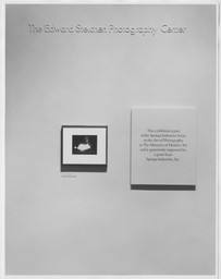 Installation photo, 2 of 18