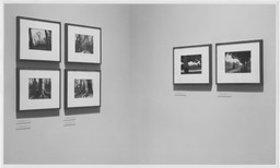 Installation photo, 8 of 18