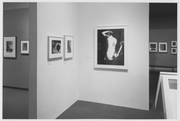 Installation photo, 7 of 9