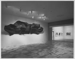 Installation photo, 2 of 19
