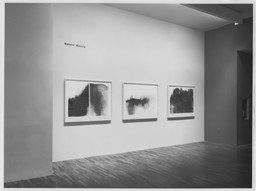 Installation photo, 4 of 19