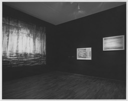 Installation photo, 18 of 19