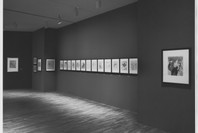 Henri de Toulouse-Lautrec. Oct 30, 1985–Jan 26, 1986.