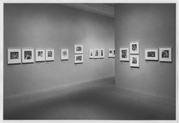 Installation photo, 4 of 9