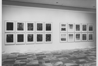Jasper Johns: A Print Retrospective. May 19–Aug 19, 1986. 3 other works identified