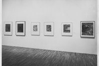 Jasper Johns: A Print Retrospective. May 19–Aug 19, 1986. 2 other works identified