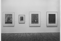 Jasper Johns: A Print Retrospective. May 19–Aug 19, 1986. 1 other work identified