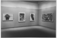 Drawings Acquisitions. Jan 24–Jun 14, 1987. 2 other works identified