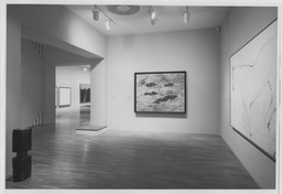 Installation photo, 6 of 12