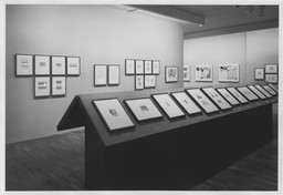 Installation photo, 19 of 48