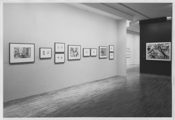 Installation photo, 29 of 48