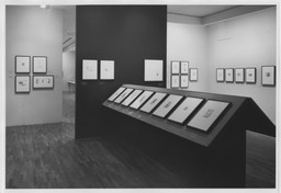 Installation photo, 30 of 48