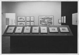 Installation photo, 35 of 48