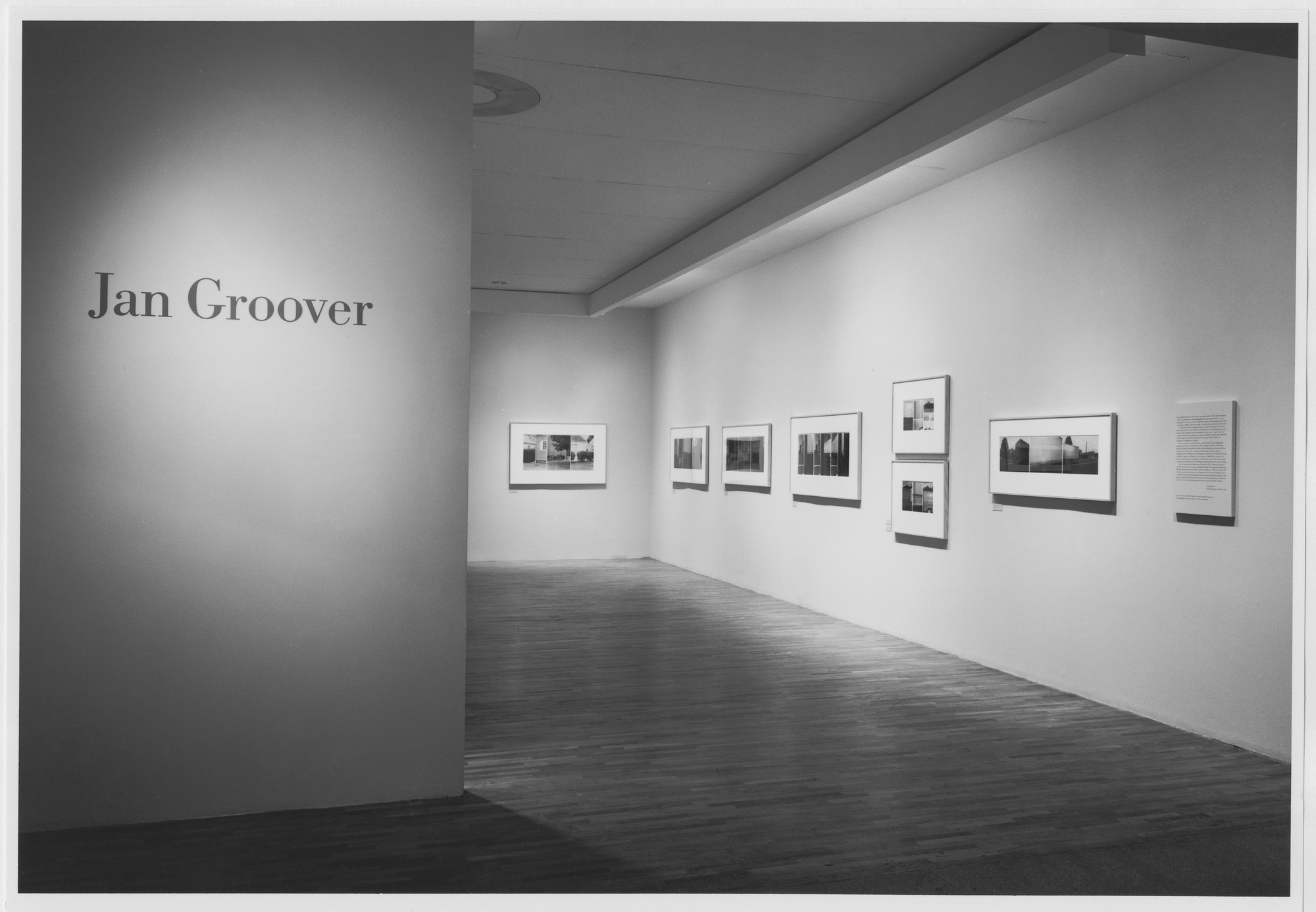 Susan Kismaric JAN GROOVER　ヤン・グルーバー Jan Groover | MoMA