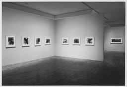 Installation photo, 5 of 14