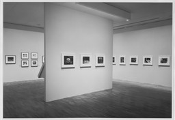 Installation photo, 9 of 14