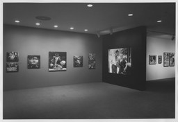 Installation photo, 6 of 9