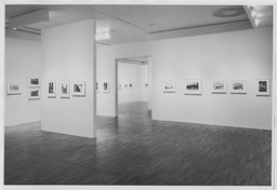 Installation photo, 10 of 12