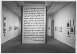Installation photo, 8 of 11