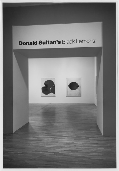 Donald Sultan's Black Lemons | MoMA