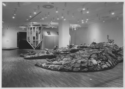 Installation photo, 6 of 17