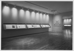 Installation photo, 9 of 9