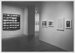Installation photo, 7 of 23