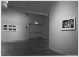 Installation photo, 17 of 23