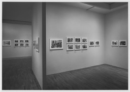 Installation photo, 21 of 23