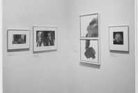 Recent Acquisitions, Photography. Jul 16–Oct 11, 1988. 1 other work identified